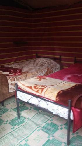 Desert Wonders Camp