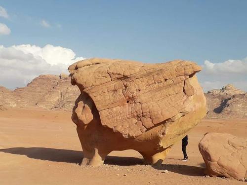 Wadi Rum Blue Sky And Tour