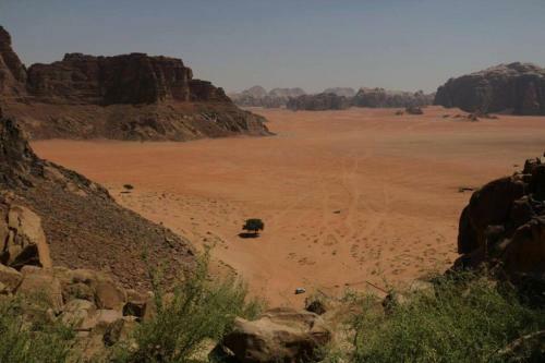 Bedouin Tours Camp
