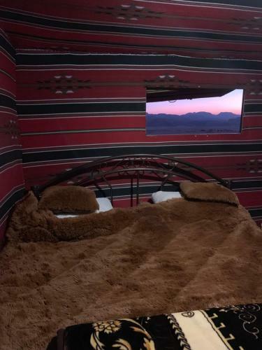 Moonshine Camp
