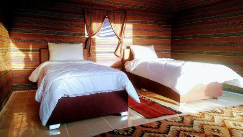 Beyond Wadi Rum Camp