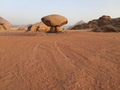 Enjoy With Bedouins