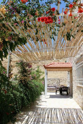 Petra Bed & Breakfast
