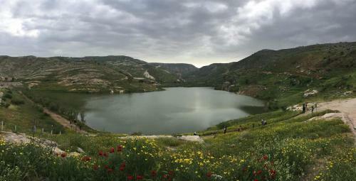 Sharhabil Bin Hasnah Ecopark