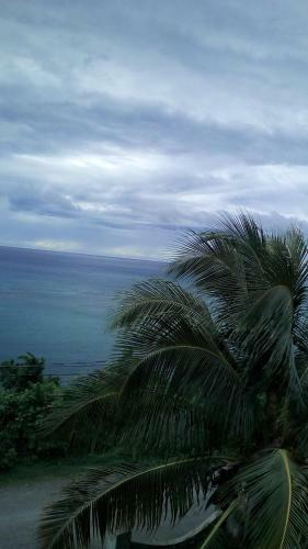 Hostal Orchard View