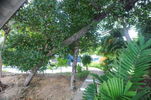 Apartamento Tranquility Cove- 2 Bedrooms