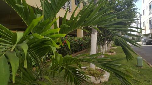 Apartamento Kingston Maliboo