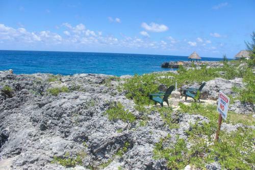 Sea Breeze Studio #1