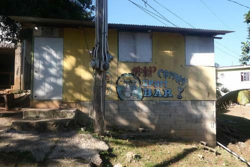 Apartamento Under The Mango Tree *sunny Apt W. Airport Shuttle