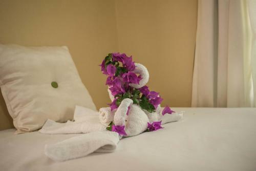 Hostal Clarridge View Guesthouse