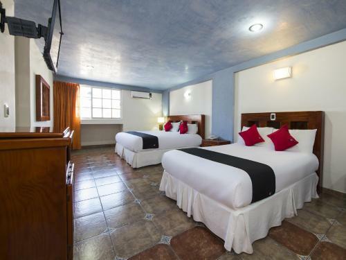Suites De Reyes