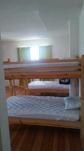 Reggae Hostel Montego Bay