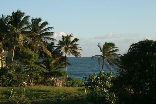 Shi Shed! Africa Village