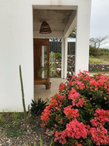 Turtles Nest Villa
