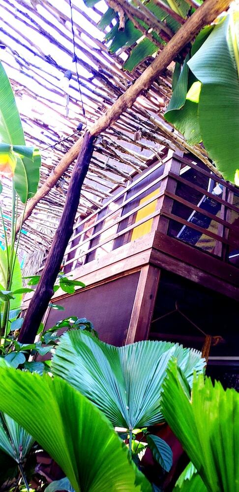 Hotel Wild Coffee Retreat