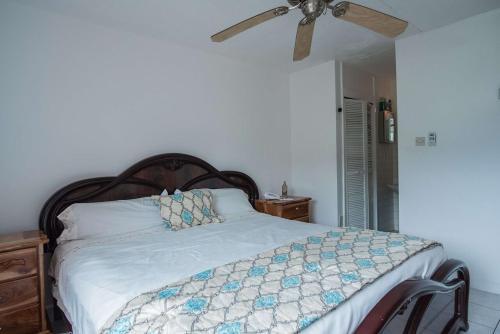 Apartamento Palmtrees