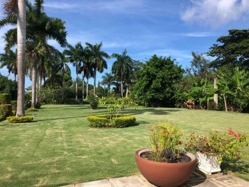 Agroturismo Morning Glory Villas