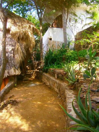 Hotel Lo C�smico