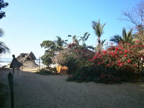 Hotel Lo C�smico
