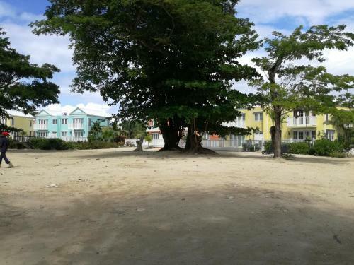 Little Bay Country Club