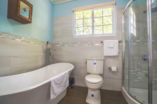 Villa Oracabessa