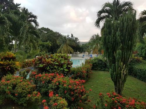 Apartamento Skycastle Oasis