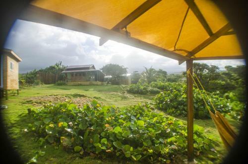 Hostal Go Natural Jamaica
