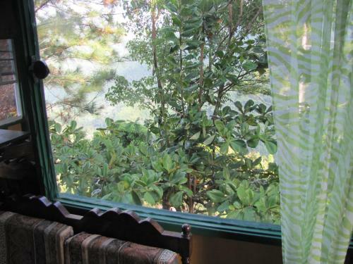 Blue Mountain Wilderness Retreat (bmwr)
