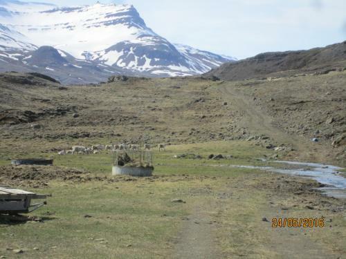 Hostal Guesthouse �sgar�ur