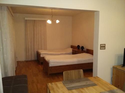 Comfortable Apartment