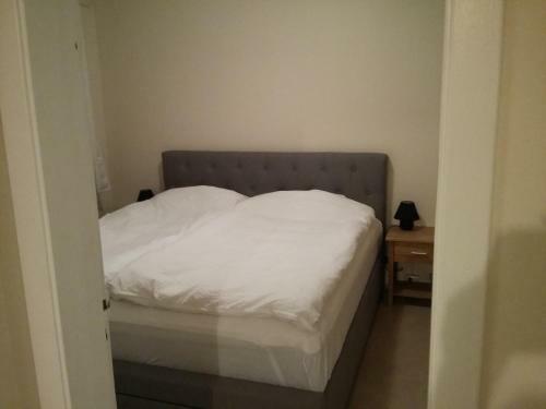 Comfortable Apartment