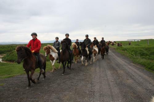 Agroturismo Mi��s Farmstay