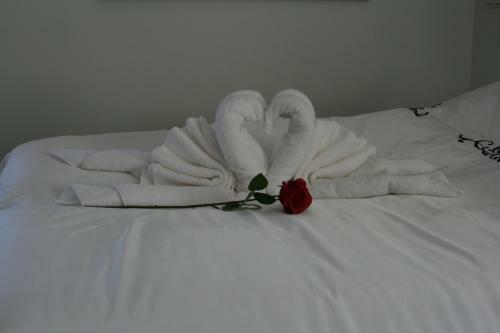 Hostal Country Dream - Langholt 2