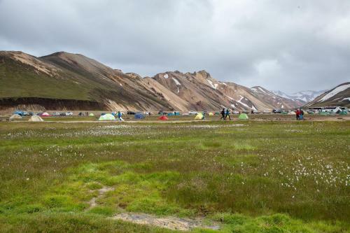 Kornh�ll