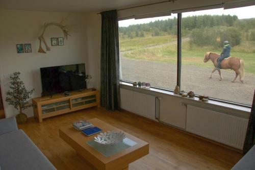 Finnssta�ir Horse Ranch