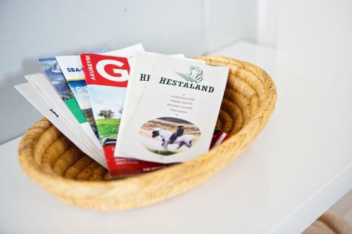 Hostal Hestaland Guesthouse