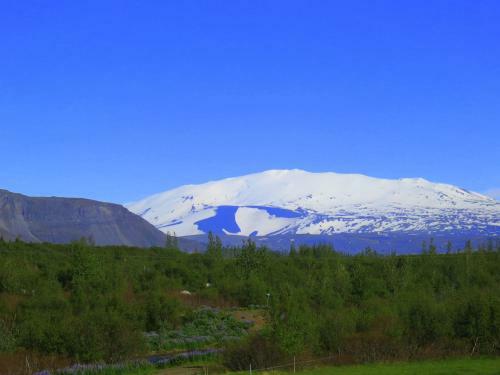 �s�lfssta�ir Holiday Home