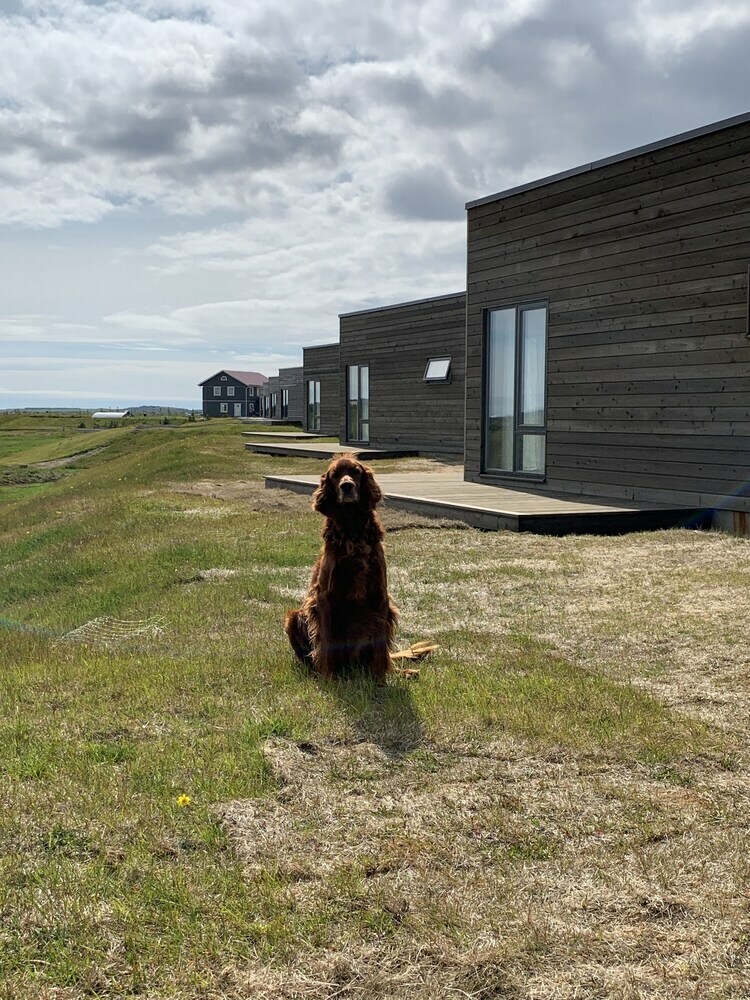 Heima Holiday Homes