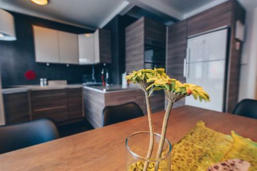 Hostal Drangey Gistiheimili