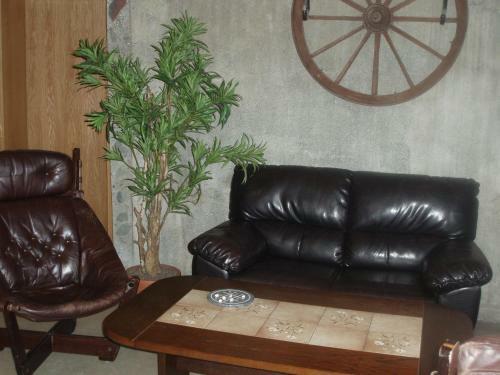 Hostal Tradir Guesthouse