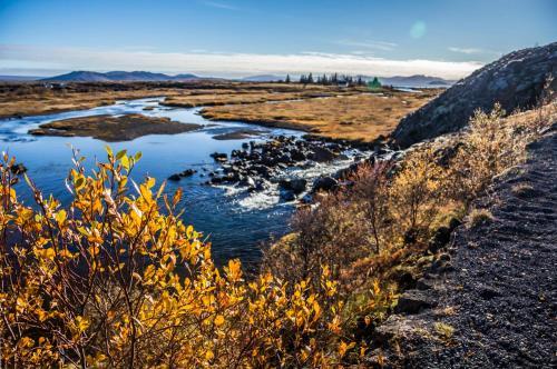 Hostal Lake Thingvellir Cottages
