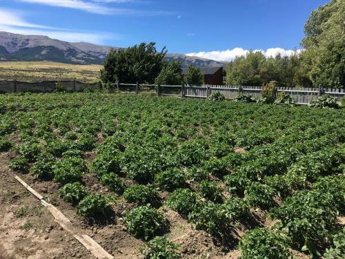 Hoster�a Tercera Barranca