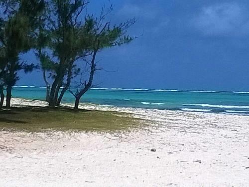 Apartamento Rodrigues Kite House