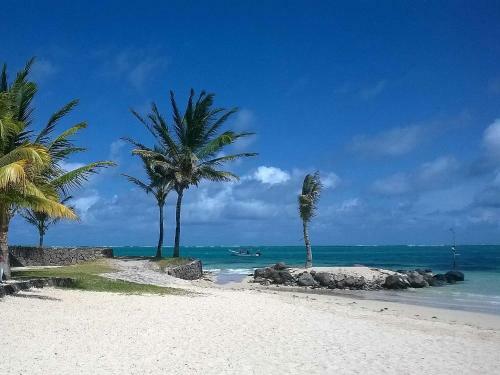 Apartamento Rodrigues Kite House