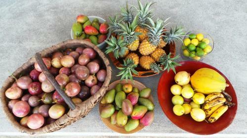 Bed & Breakfast La Giraudi�re Lodge