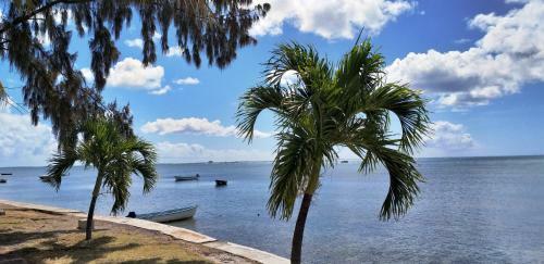 Cocotiers Hotel - Rodrigues
