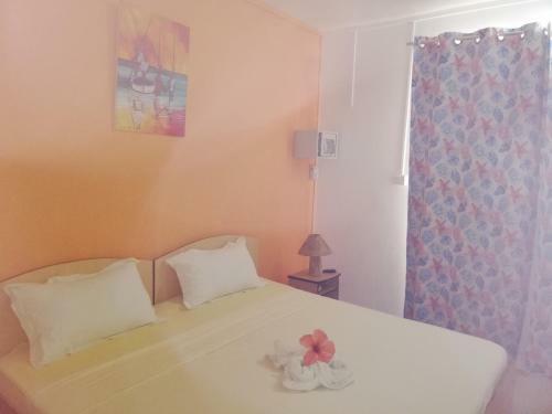 Hostal Rodrigues Coco Villa