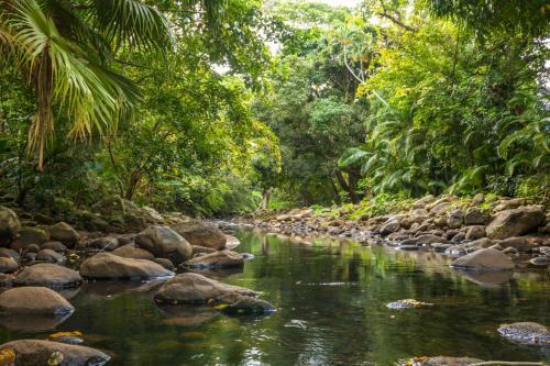 Chazal Ecotourism