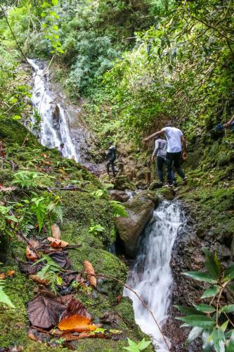 Chazal Ecotourism