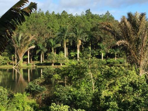 Bubble Lodge Bois Ch�ri Plantation